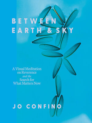 cover image of Between Earth and Sky